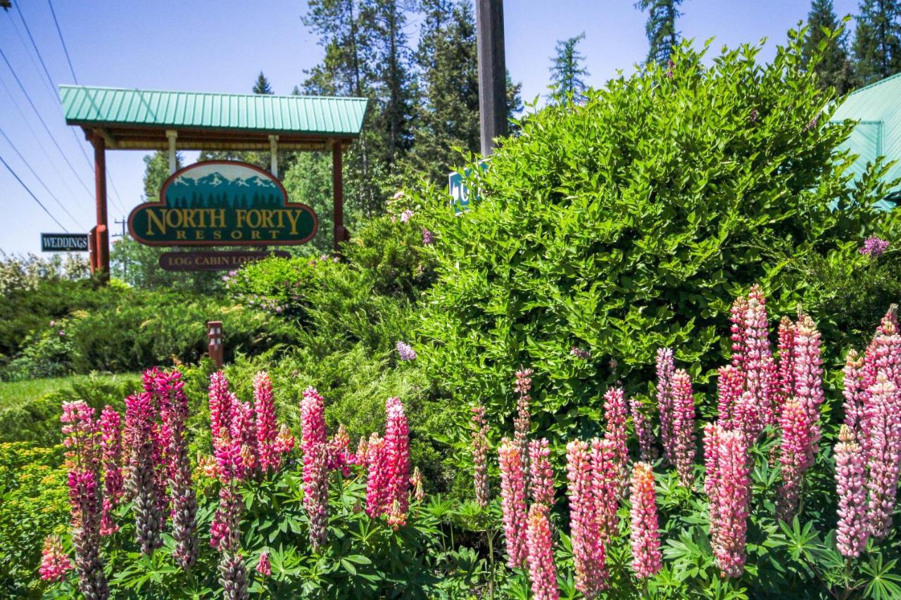 North Forty Resort Columbia Falls Exterior foto